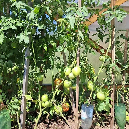 Le Crosery Clim Rando Bbq Voie Verte Appartamento Thiéfosse