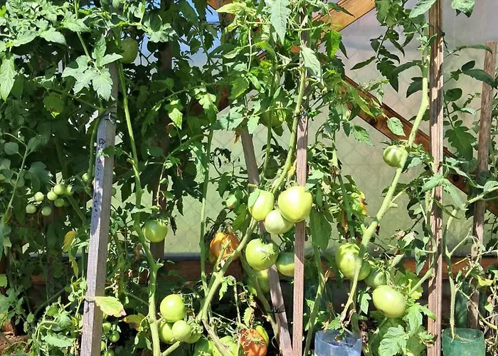 Le Crosery Clim Rando Bbq Voie Verte Apartmán Thiéfosse